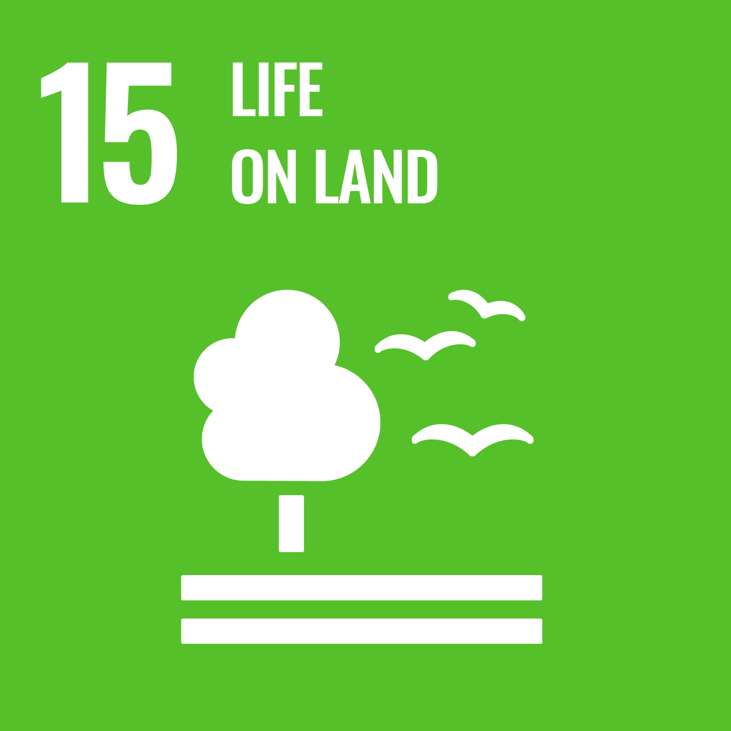 SDG NO 15 - LA VITA NELLA TERRA - LIFE ON LAND