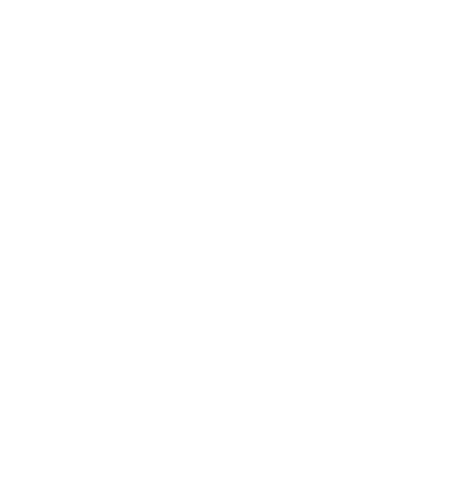 WiseTown Logo White