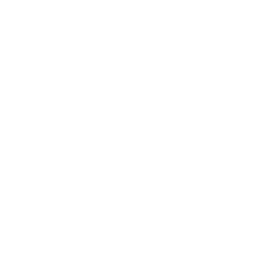 WiseTown Logo White
