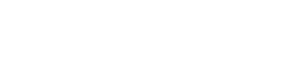 esri silver partner logo