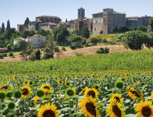 WiseTown® | Fratta Todina, technological innovation for the protection of citizens and the territory