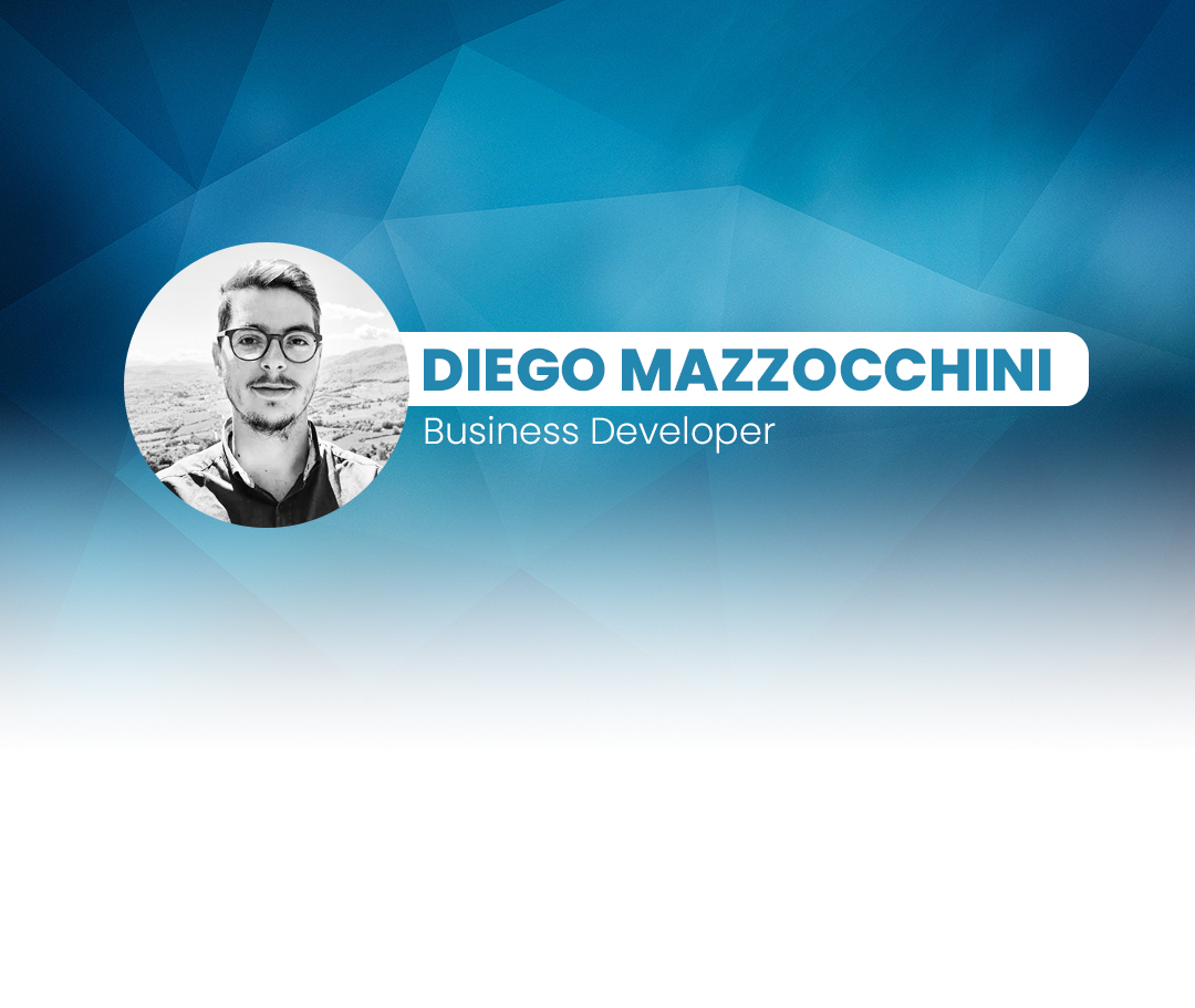 Mazzocchini WiseTown_MediaKit_Mobile